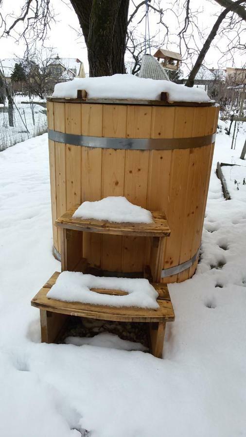 Sauna Dom بيزينوك المظهر الخارجي الصورة